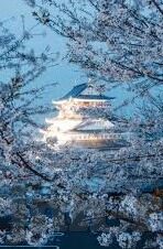 瑞士足球咋天比分-瑞士足球激战之夜，昨夜比分揭晓，战术解析与未来展望